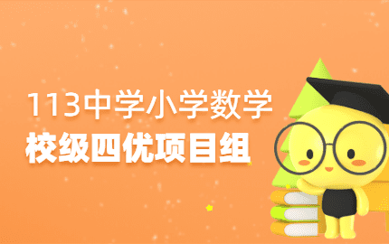 113中学校级四优项目组