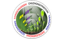 铜川市初中英语杨振教学名师工作室