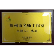 梧州市陈羽名班主任工作室