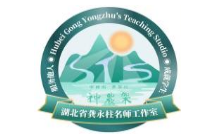 湖北省龚永柱名师工作室