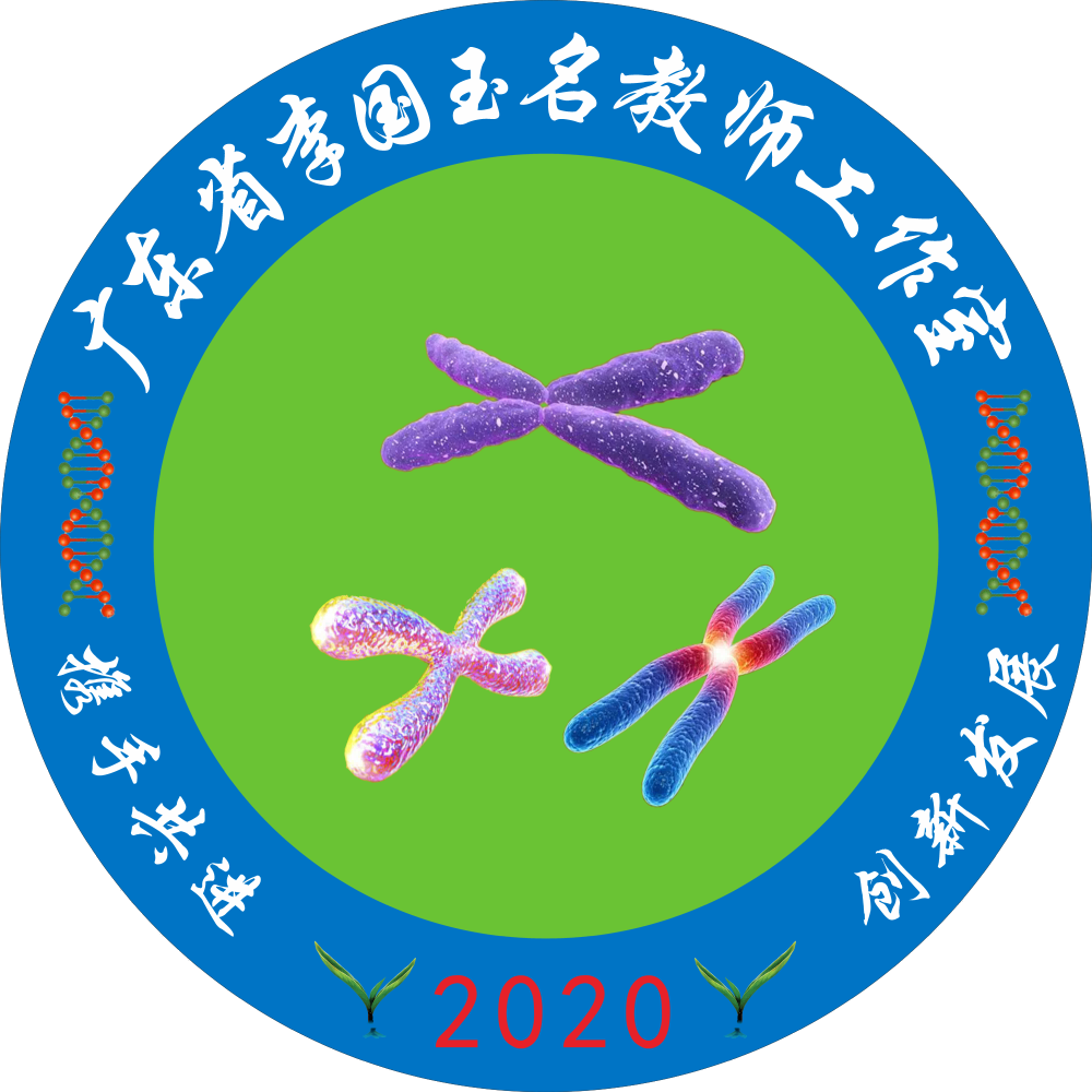 教师头像
