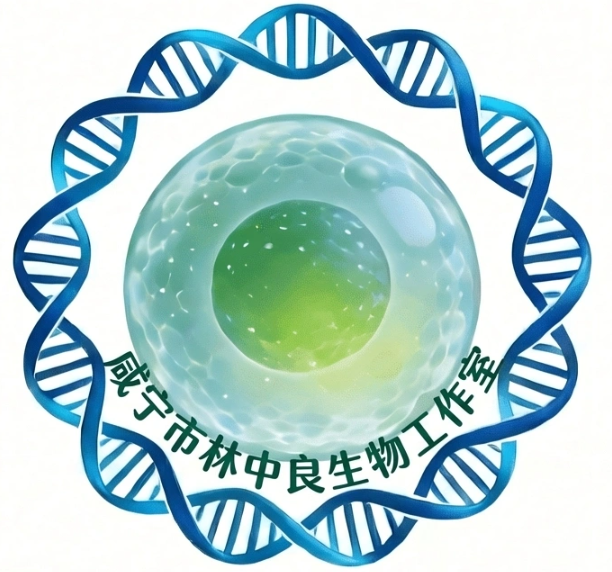 教师头像